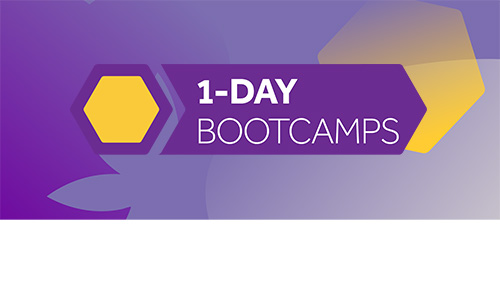 1-Day Bootcamps