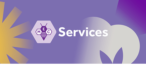 Services